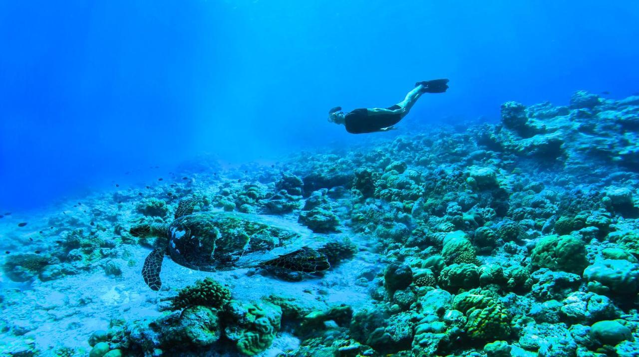 The Standard, Huruvalhi Maldives (Adults Only) Meedhoo  Exterior photo A free diver in the Red Sea