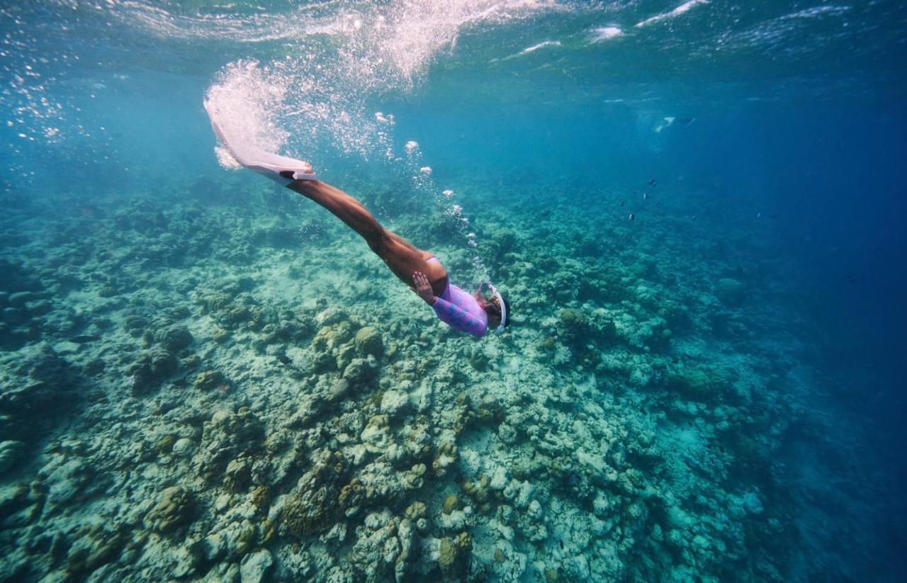The Standard, Huruvalhi Maldives (Adults Only) Meedhoo  Exterior photo Free diving